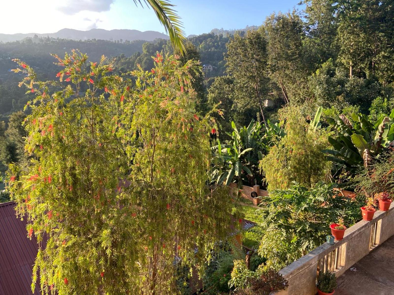 Lushoto Views Cottage Bagian luar foto
